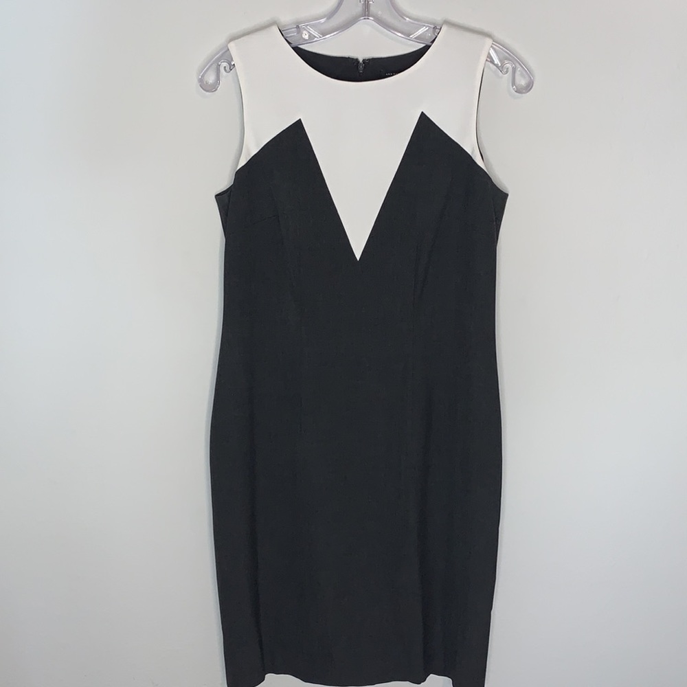 Ann Taylor business dress